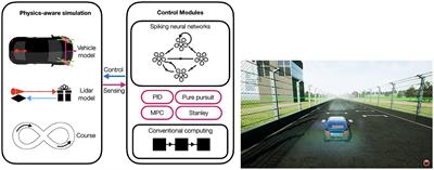 Autonomous driving controllers with neuromorphic spiking neural networks